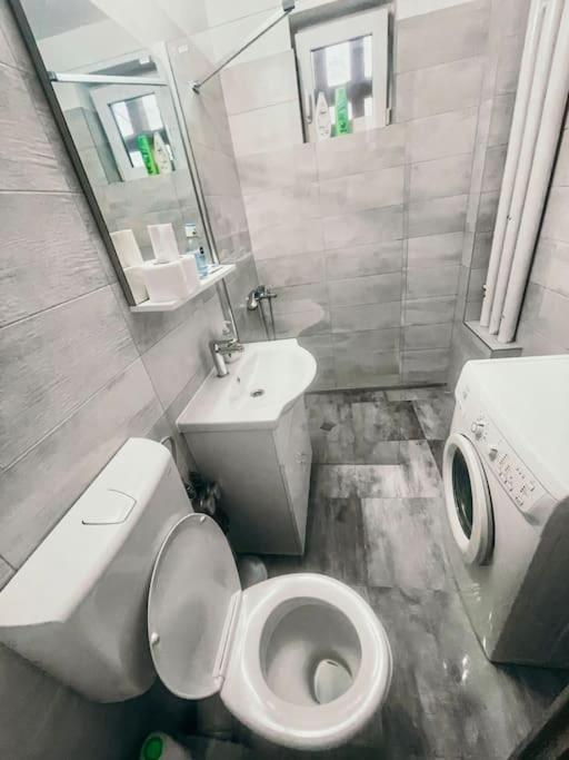 Ultracentral Big Flat Near The Opera Square P17 Timişoara Exterior foto