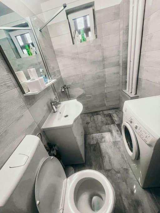 Ultracentral Big Flat Near The Opera Square P17 Timişoara Exterior foto
