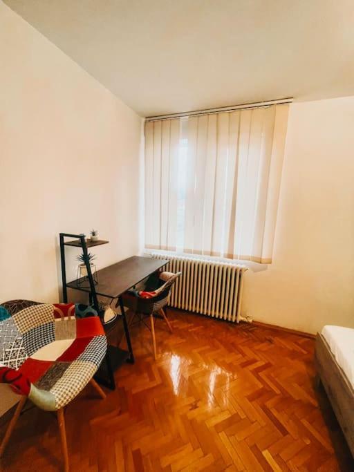 Ultracentral Big Flat Near The Opera Square P17 Timişoara Exterior foto