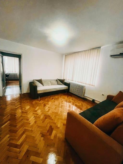 Ultracentral Big Flat Near The Opera Square P17 Timişoara Exterior foto