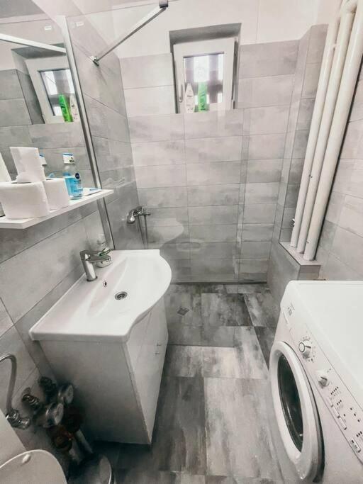 Ultracentral Big Flat Near The Opera Square P17 Timişoara Exterior foto